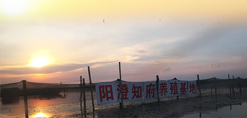 湖面.jpg