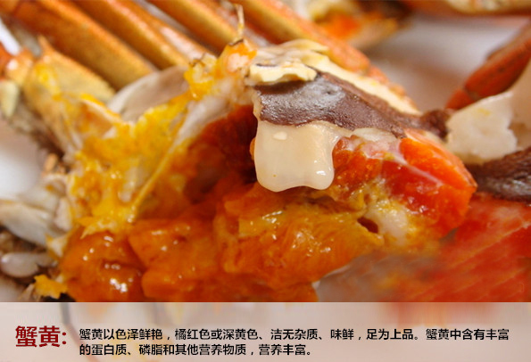 蟹黄